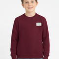 Graphic Oversized Boy's Sweatshirt
